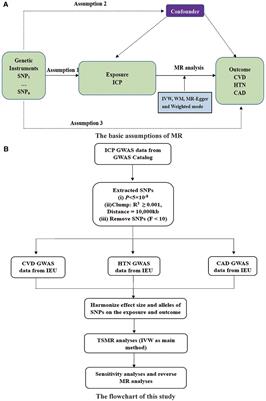 Genetically predicted lipids mediate the association between intrahepatic cholestasis of pregnancy and cardiovascular disease